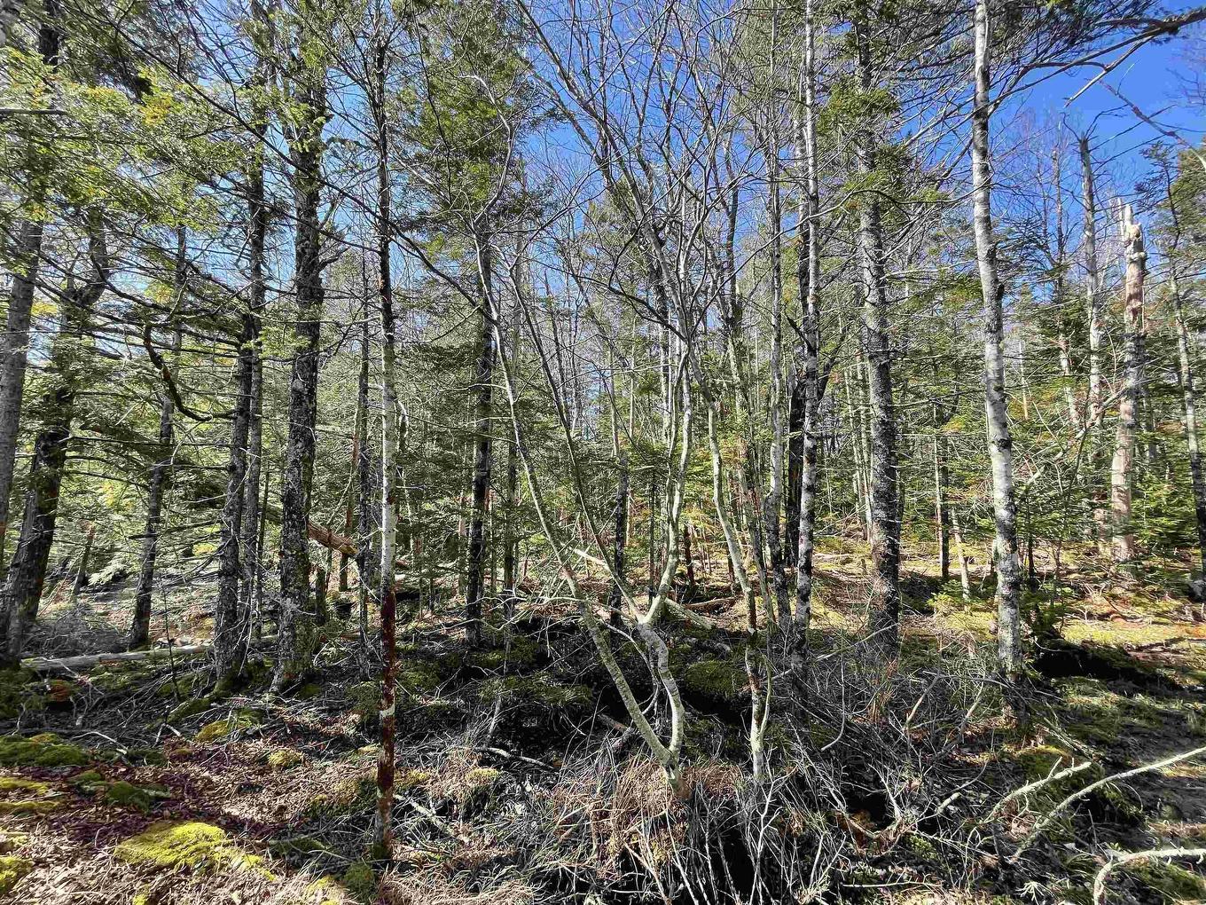 Lot 3 Lapland Road, Lapland, NS