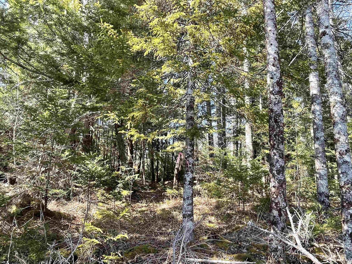 Lot 3 Lapland Road, Lapland, NS