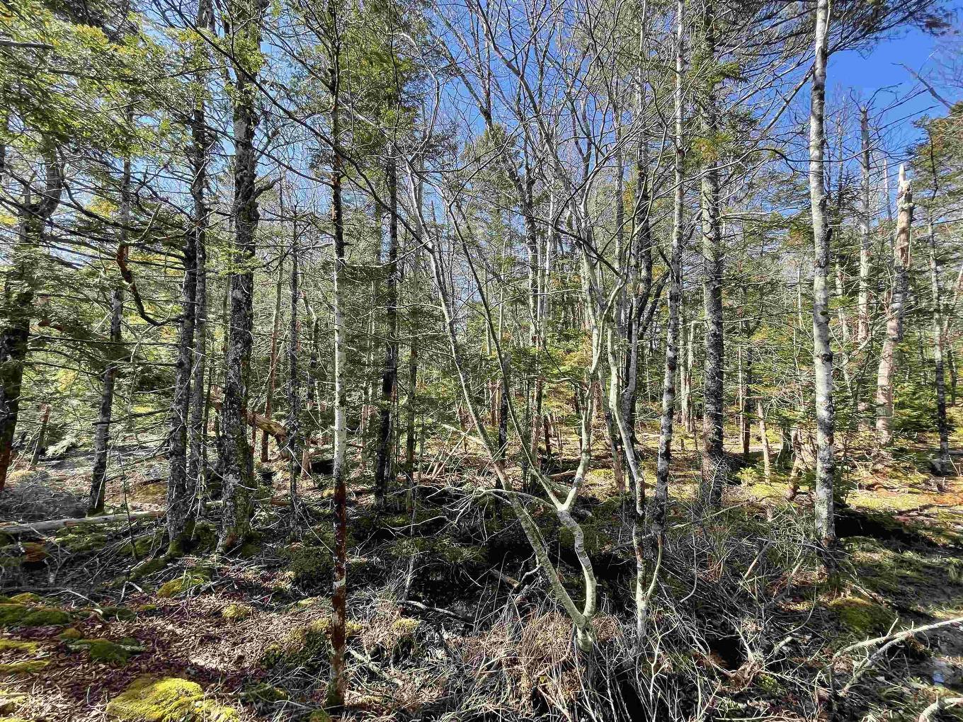 Lot 3 Lapland Road, Lapland, NS