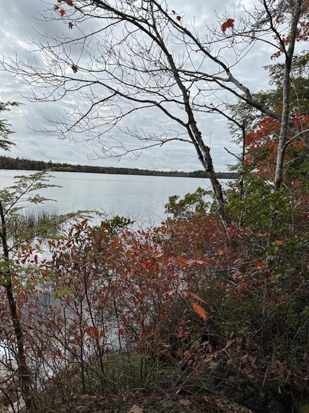 Lot 3 Lapland Road, Lapland, NS