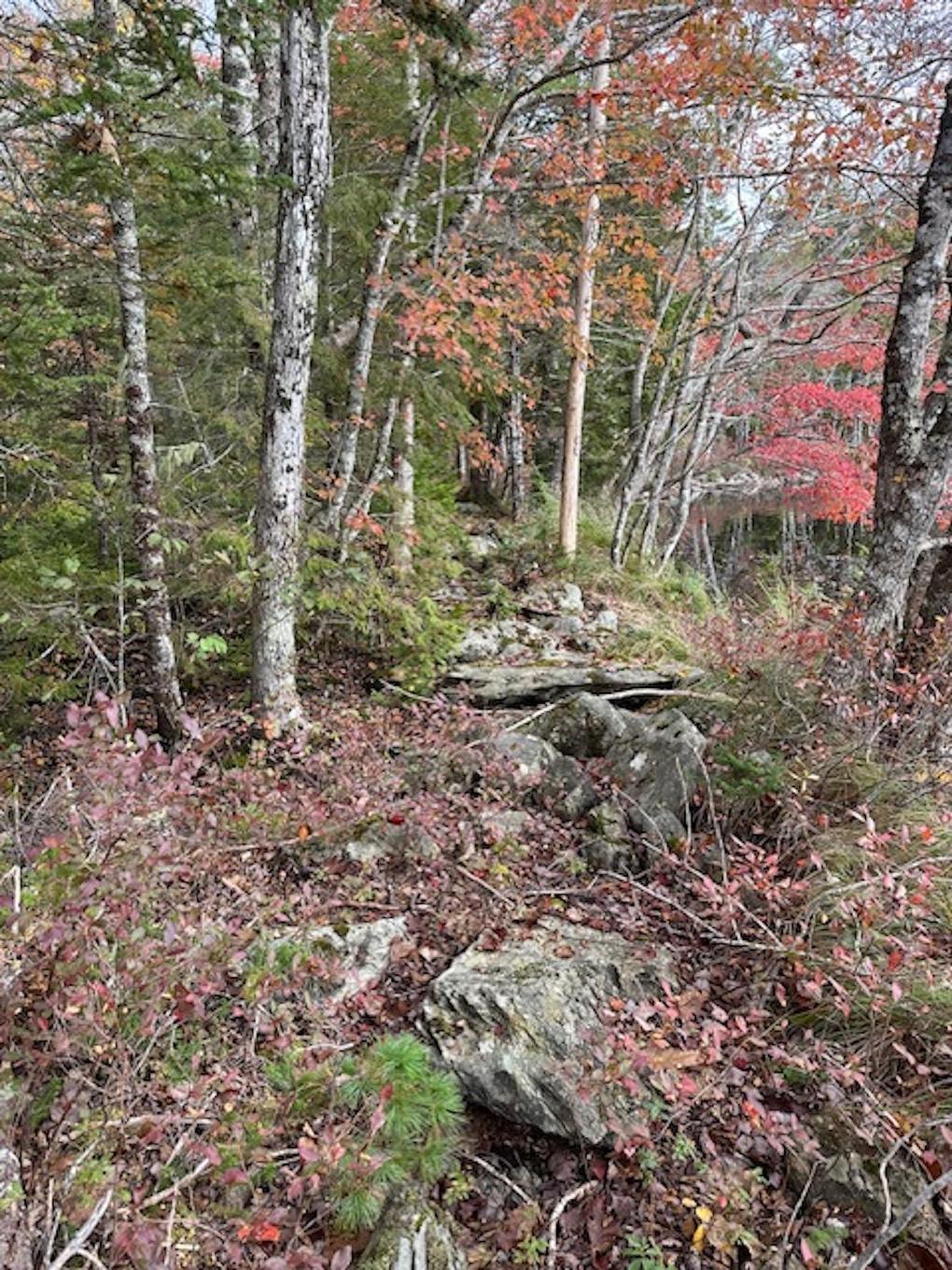 Lot 3 Lapland Road, Lapland, NS