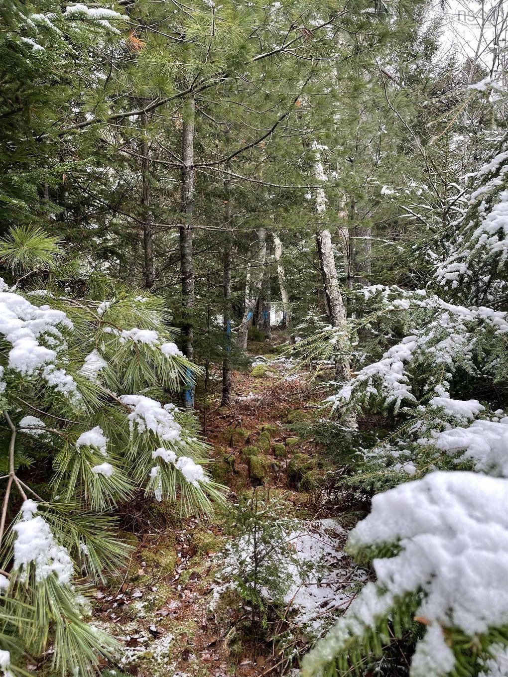 Lot 3 Lapland Road, Lapland, NS