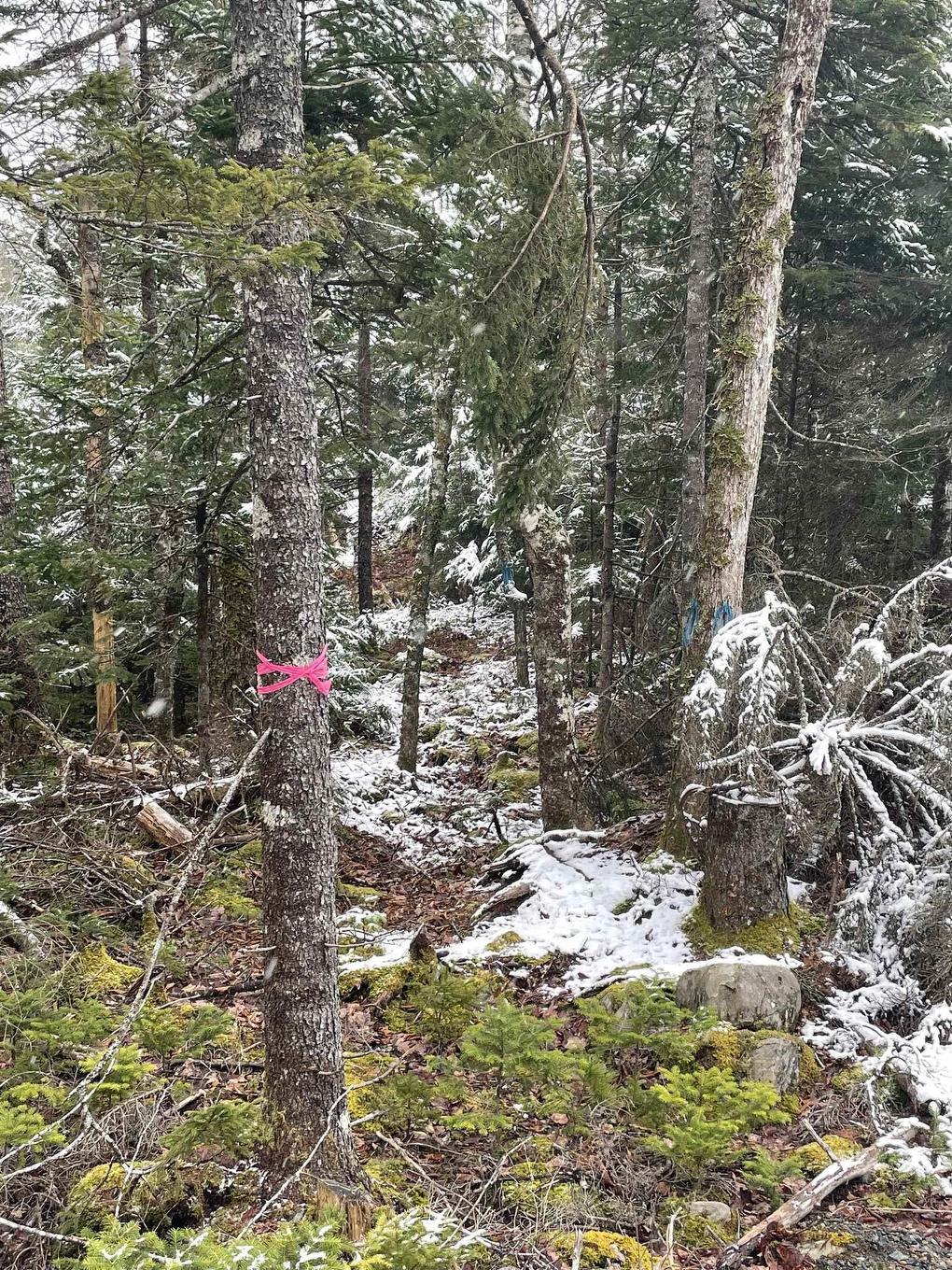 Lot 3 Lapland Road, Lapland, NS