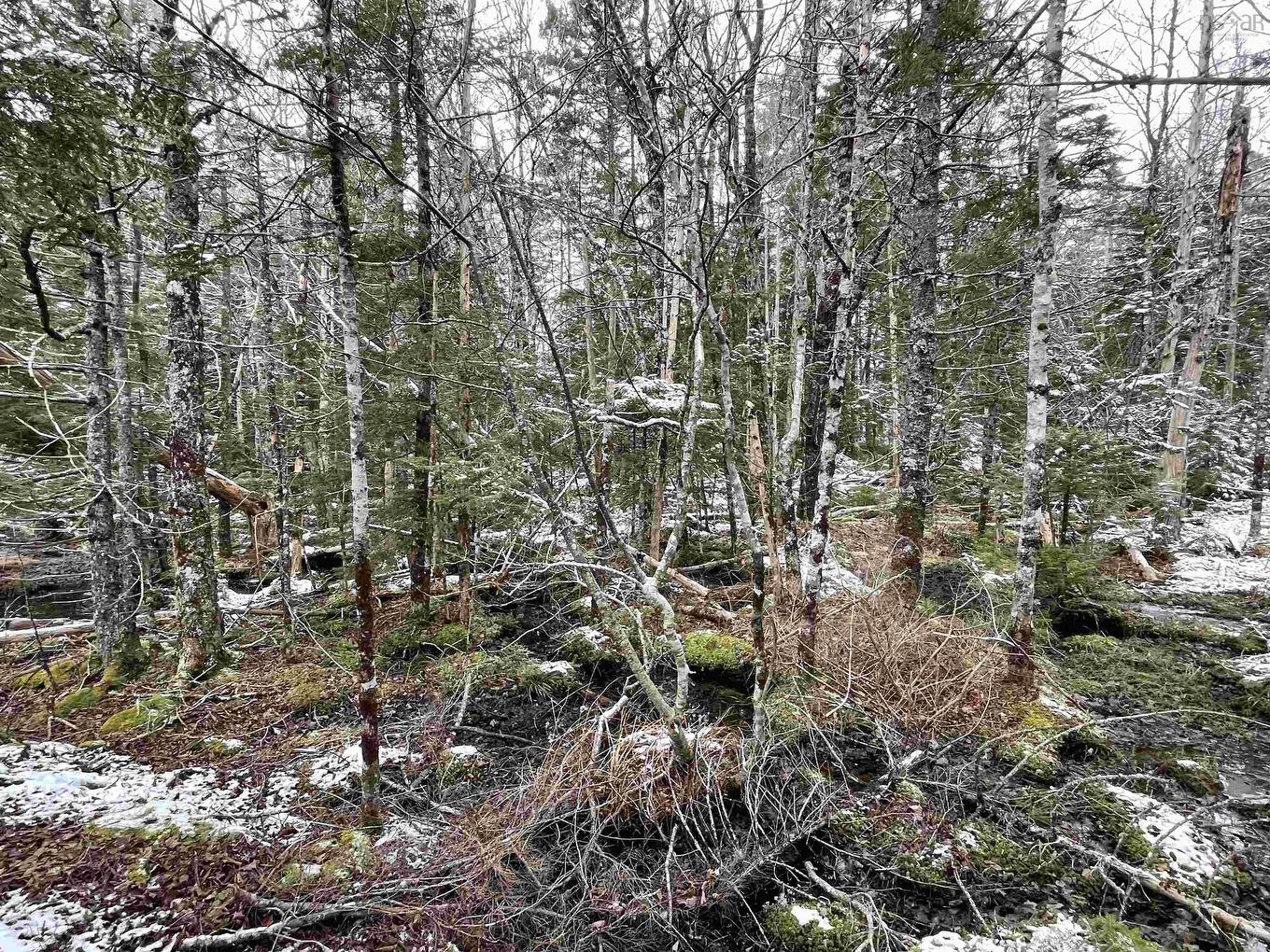 Lot 3 Lapland Road, Lapland, NS