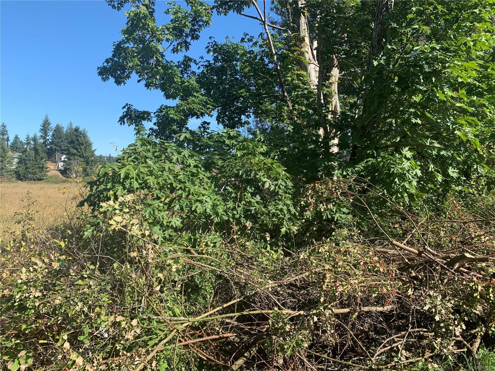 Lt 7 - 9 Sanford Way, Nanaimo, BC