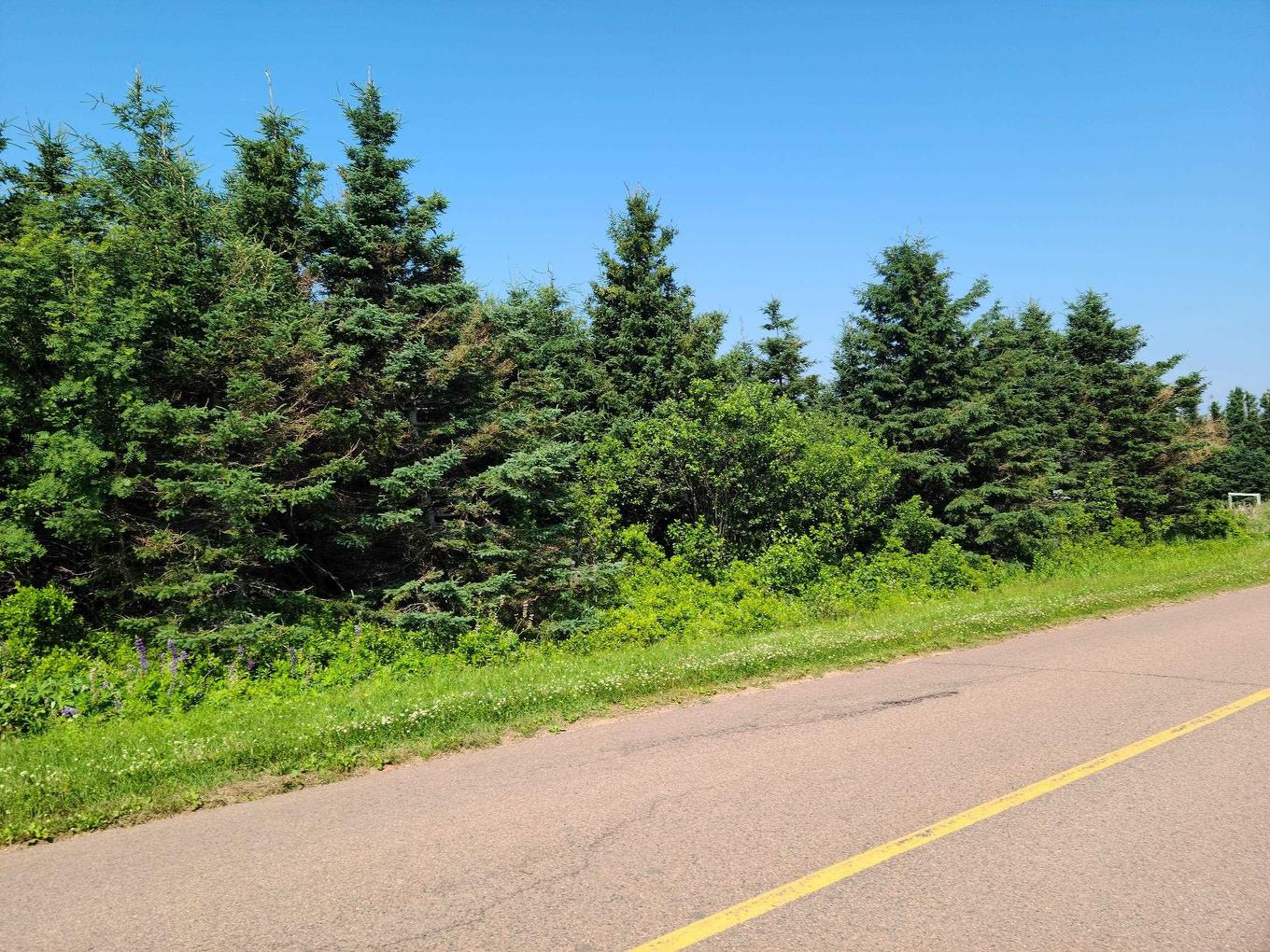 1 King Street, Malpeque, PE