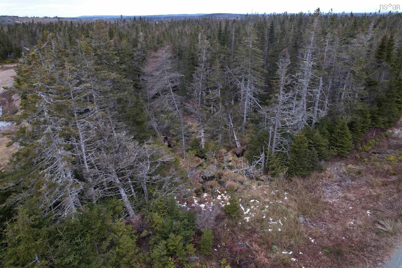 22 Alyssa Lane, Belfry Lake, NS