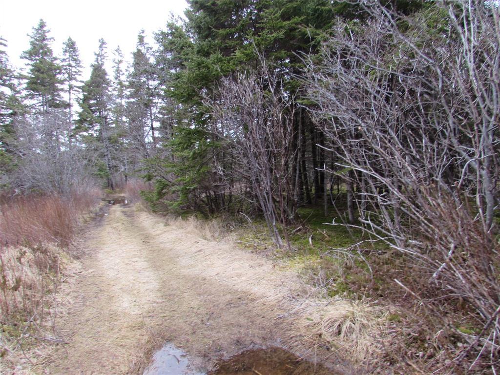 15-17 Bally Hack Road, Avondale, NL