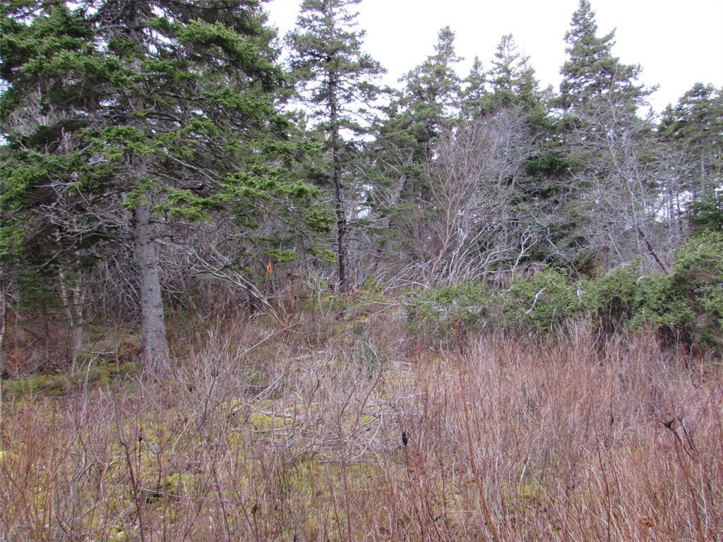 15-17 Bally Hack Road, Avondale, NL