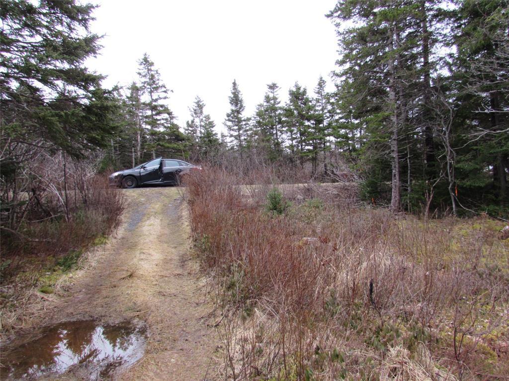 15-17 Bally Hack Road, Avondale, NL