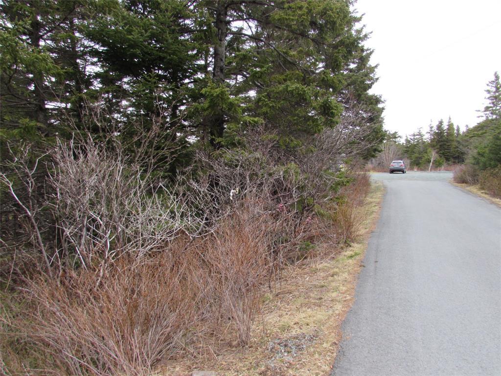 15-17 Bally Hack Road, Avondale, NL