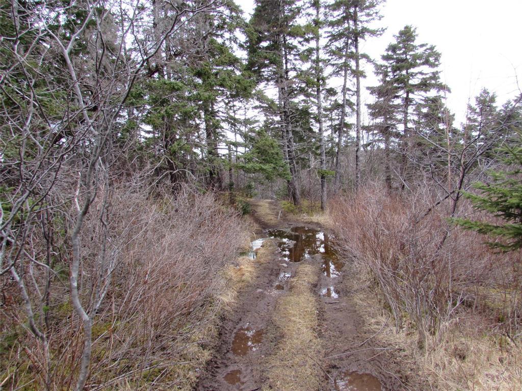 15-17 Bally Hack Road, Avondale, NL