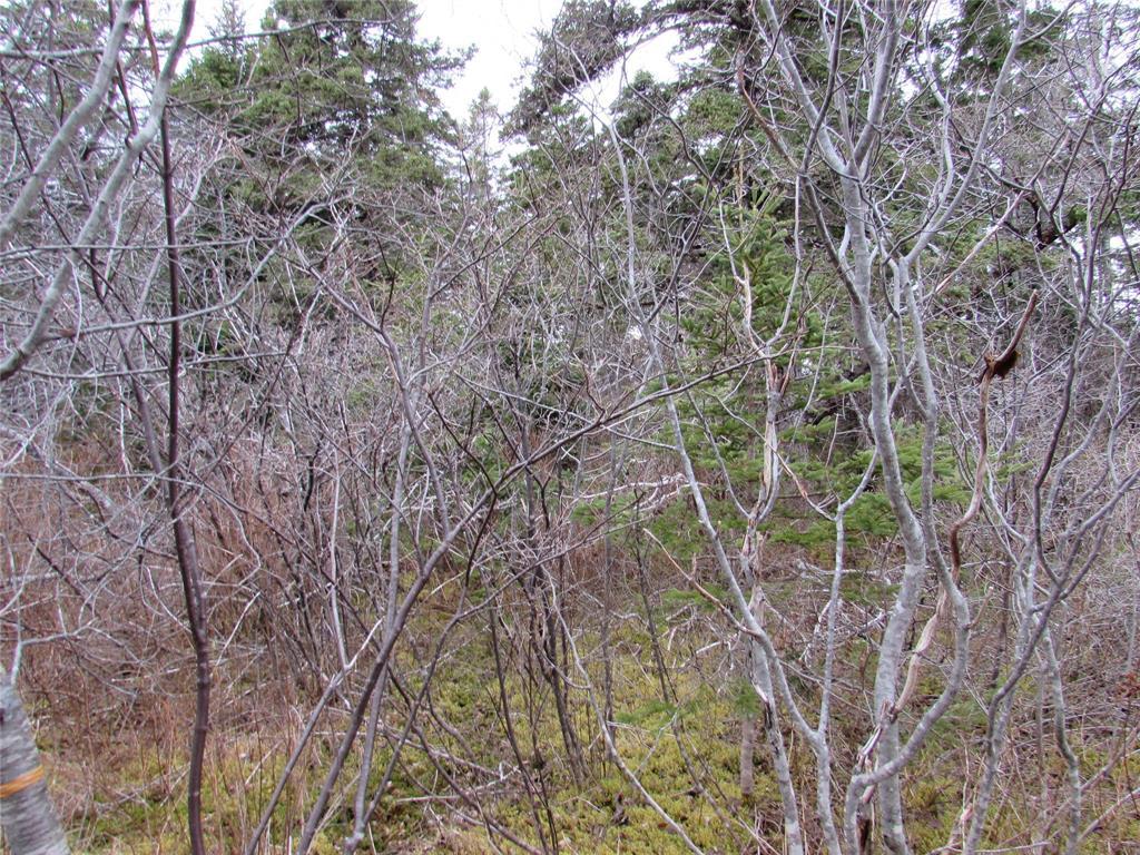 15-17 Bally Hack Road, Avondale, NL