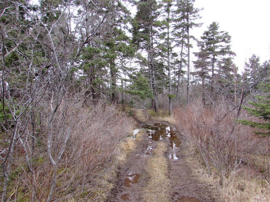 15-17 Bally Hack Road, Avondale, NL