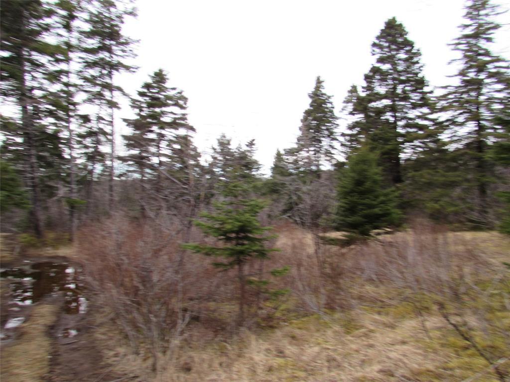 15-17 Bally Hack Road, Avondale, NL