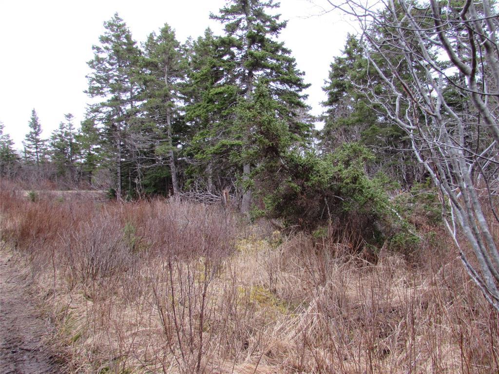 15-17 Bally Hack Road, Avondale, NL