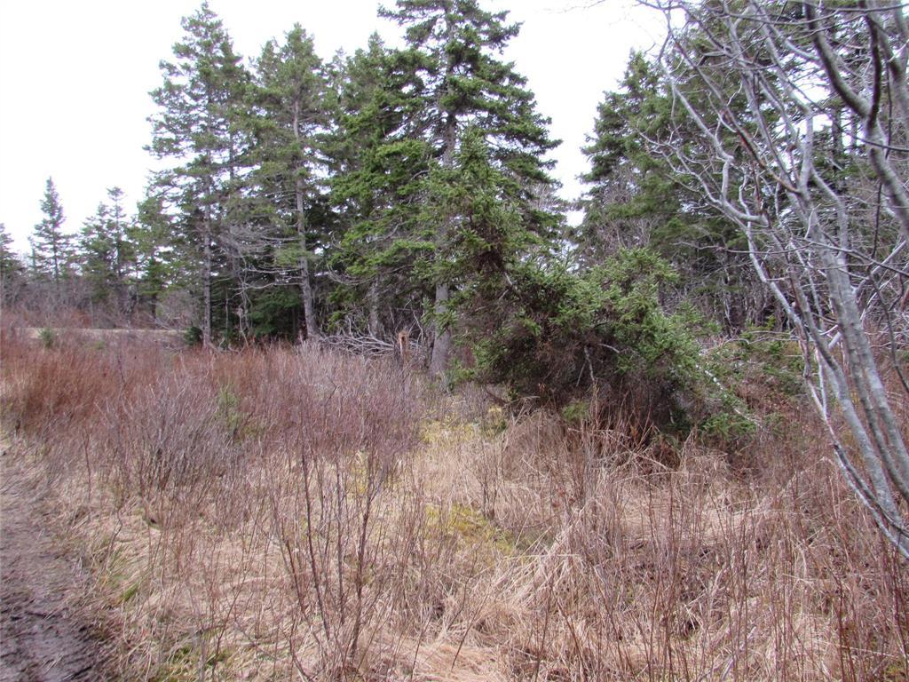 15-17 Bally Hack Road, Avondale, NL