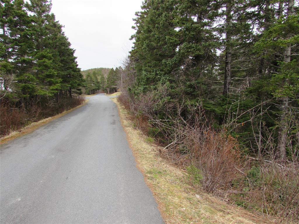 15-17 Bally Hack Road, Avondale, NL