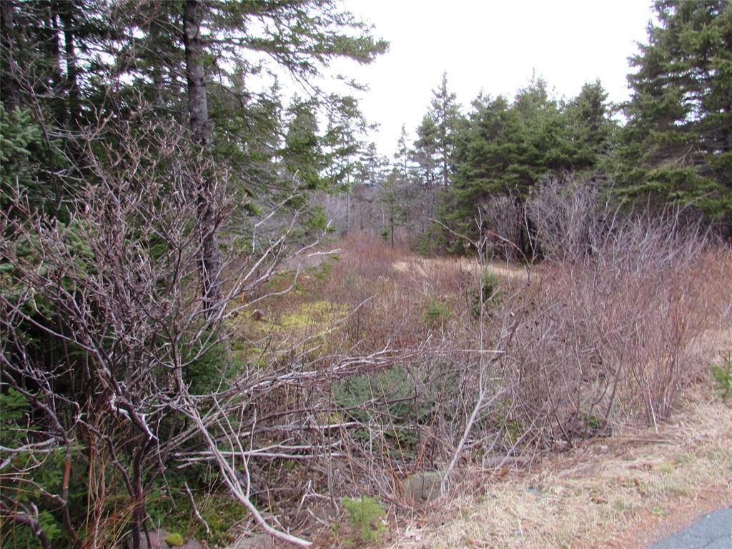 15-17 Bally Hack Road, Avondale, NL