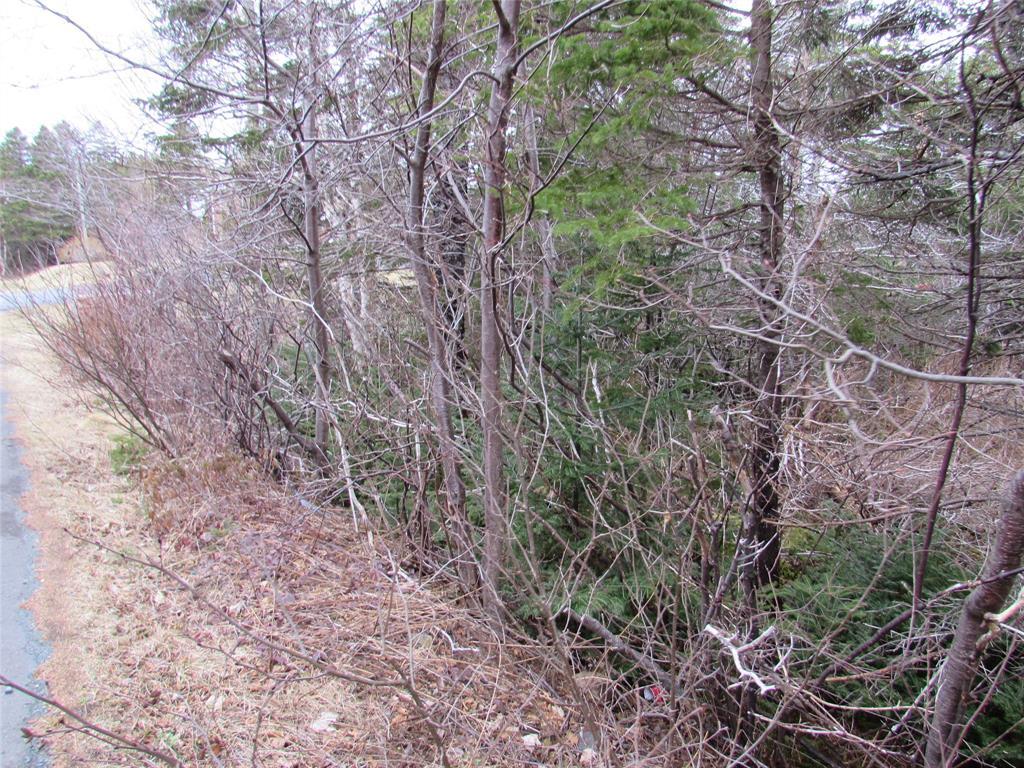 15-17 Bally Hack Road, Avondale, NL