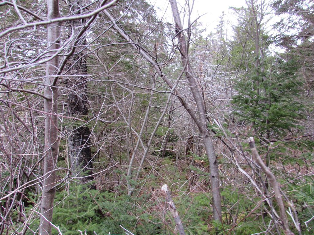 15-17 Bally Hack Road, Avondale, NL