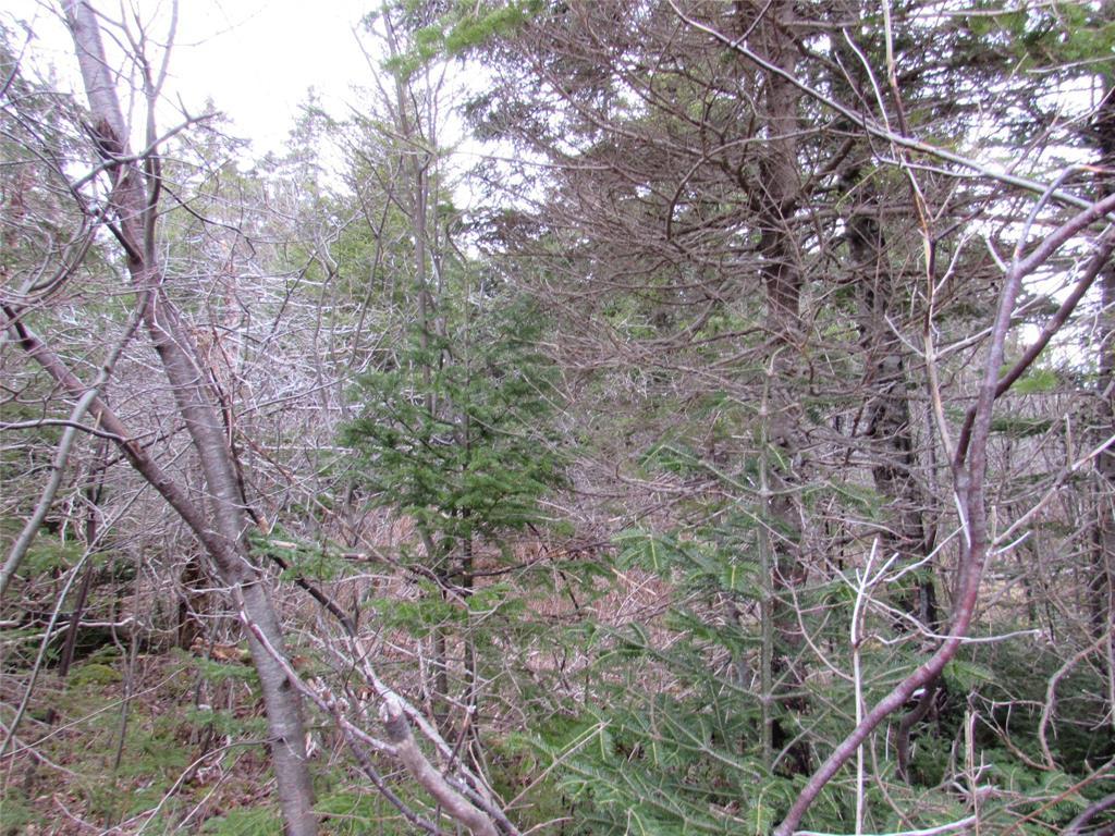 15-17 Bally Hack Road, Avondale, NL