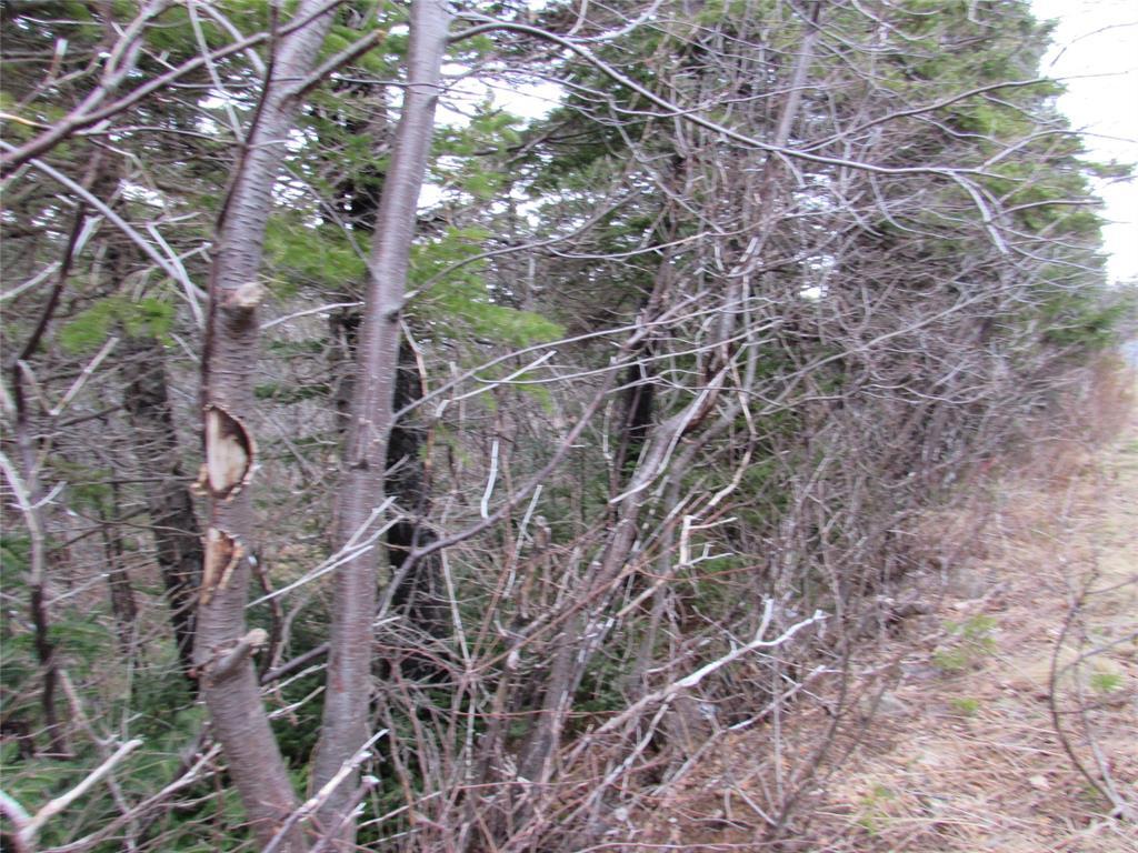 15-17 Bally Hack Road, Avondale, NL