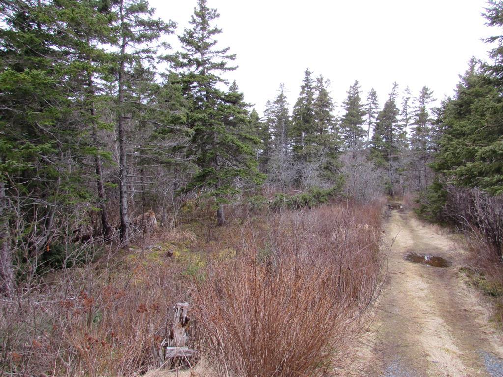 15-17 Bally Hack Road, Avondale, NL