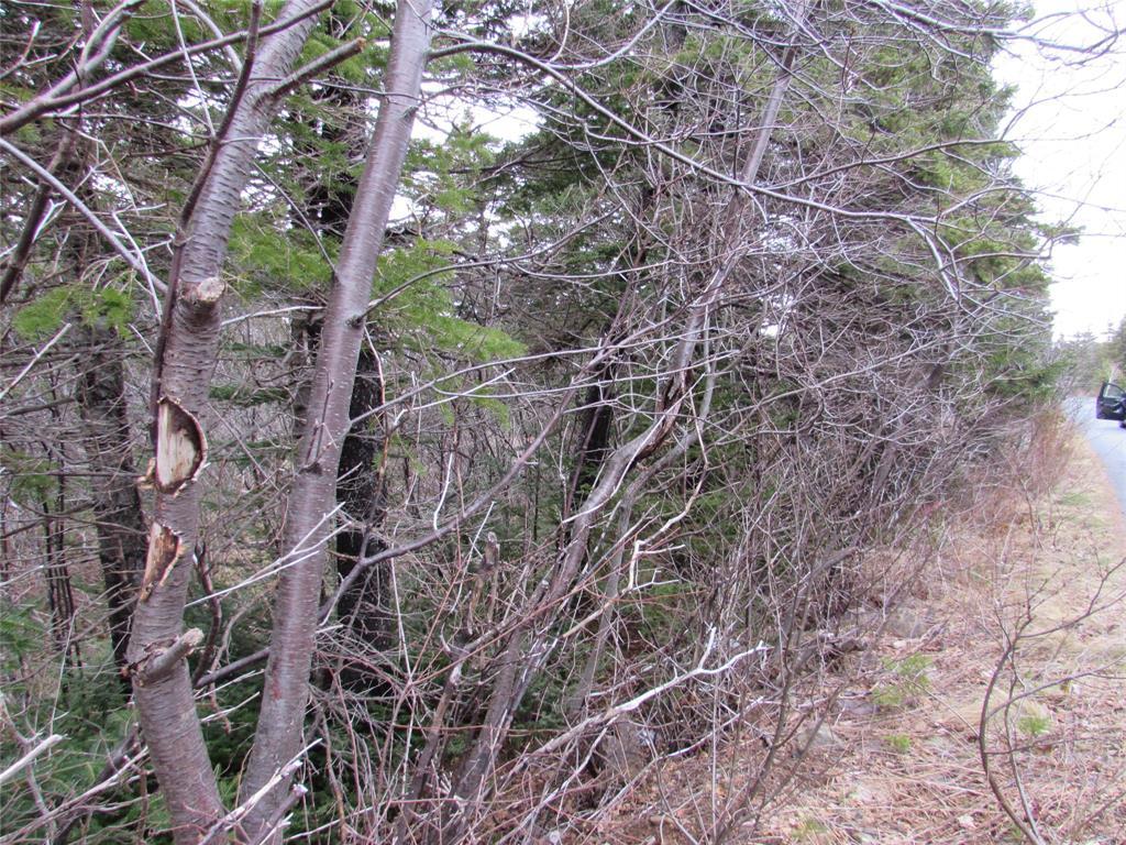 15-17 Bally Hack Road, Avondale, NL