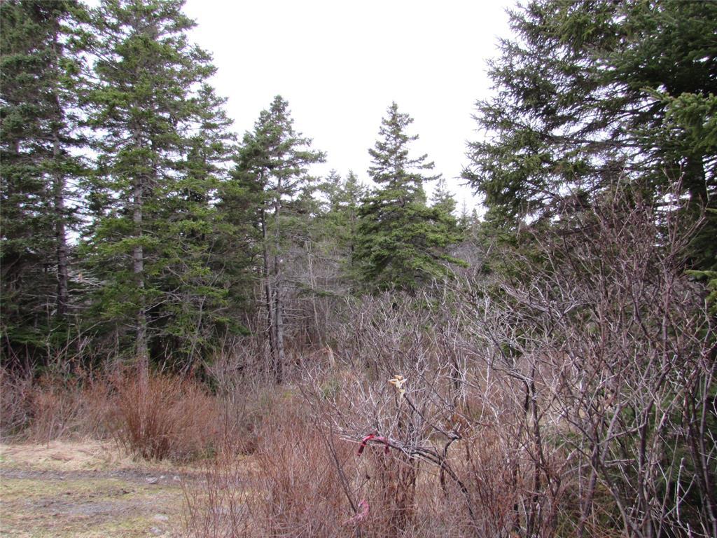 15-17 Bally Hack Road, Avondale, NL