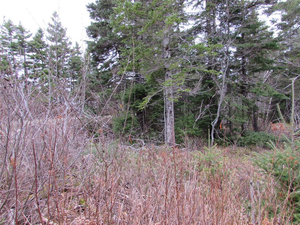 15-17 Bally Hack Road, Avondale, NL