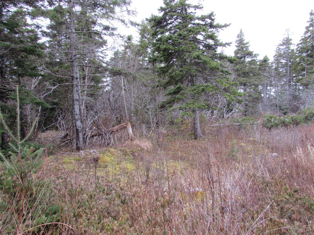 15-17 Bally Hack Road, Avondale, NL