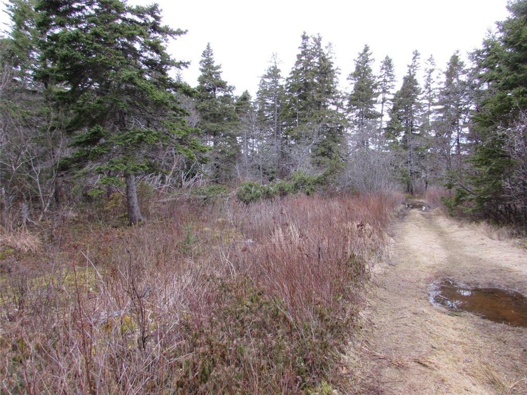 15-17 Bally Hack Road, Avondale, NL