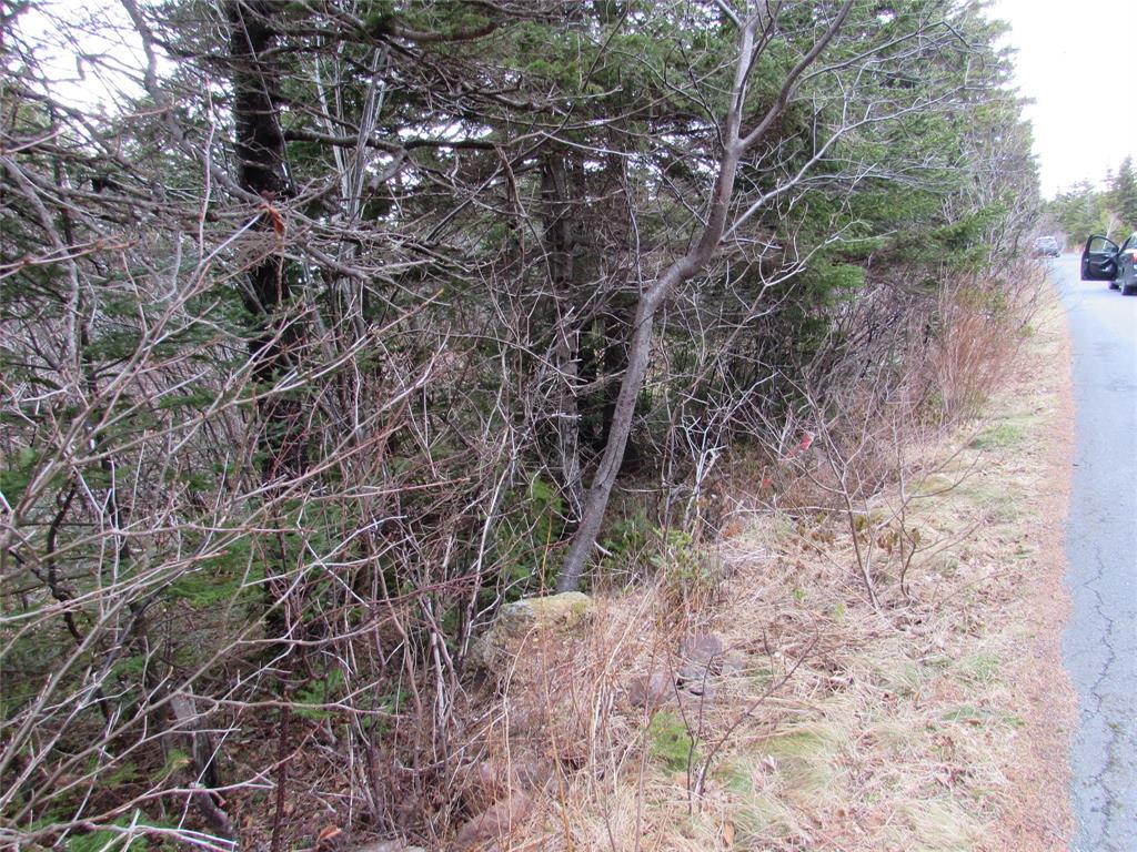 19-23 Bally Hack Road, Avondale, NL