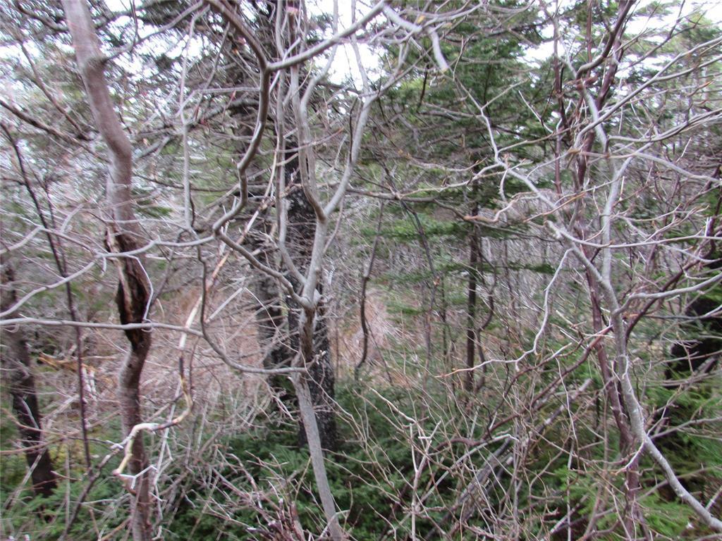 19-23 Bally Hack Road, Avondale, NL