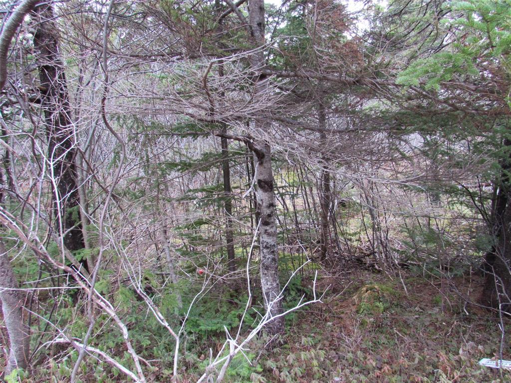 19-23 Bally Hack Road, Avondale, NL