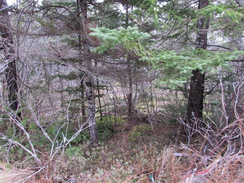 19-23 Bally Hack Road, Avondale, NL