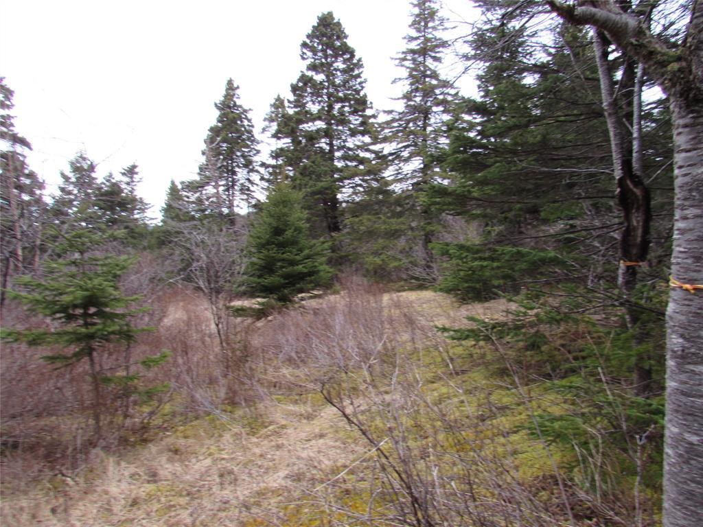 19-23 Bally Hack Road, Avondale, NL