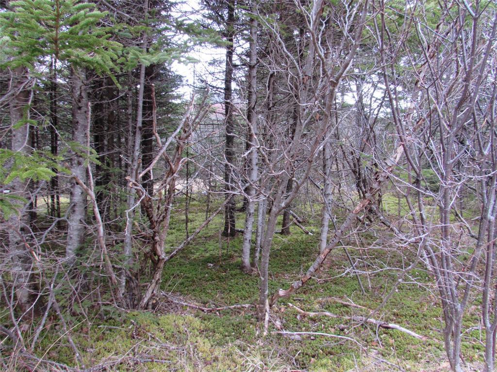 19-23 Bally Hack Road, Avondale, NL