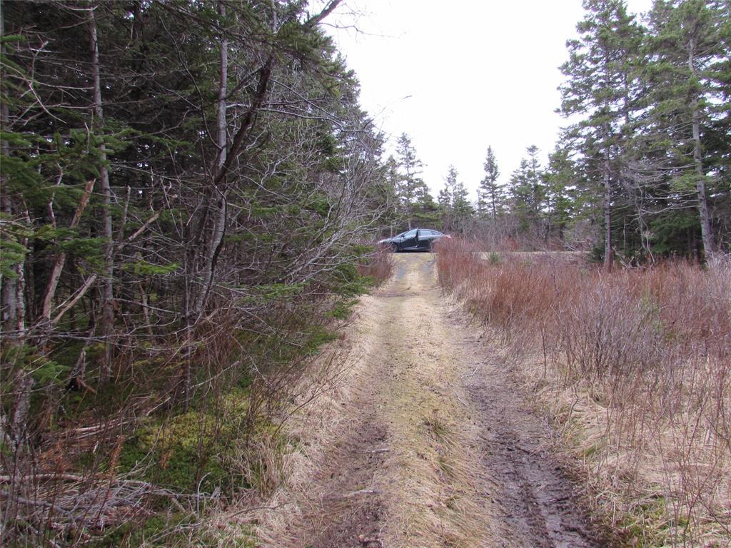 19-23 Bally Hack Road, Avondale, NL