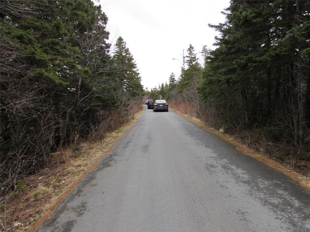 19-23 Bally Hack Road, Avondale, NL