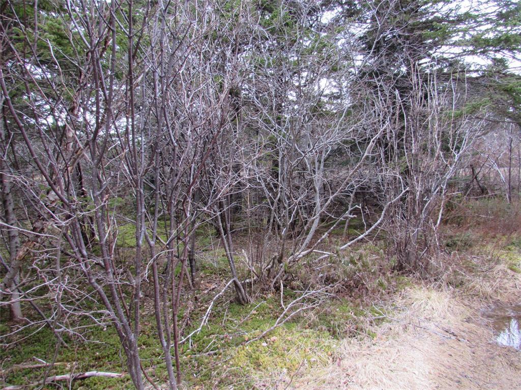 19-23 Bally Hack Road, Avondale, NL