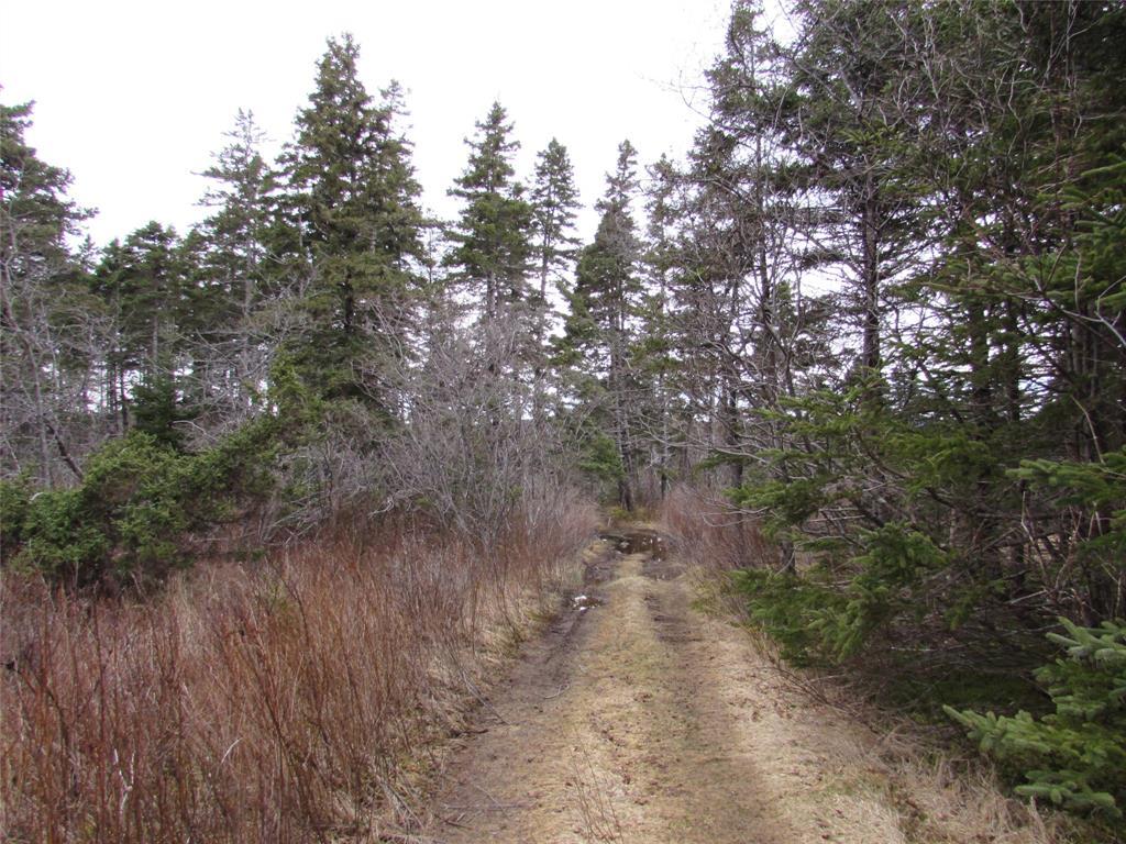 19-23 Bally Hack Road, Avondale, NL