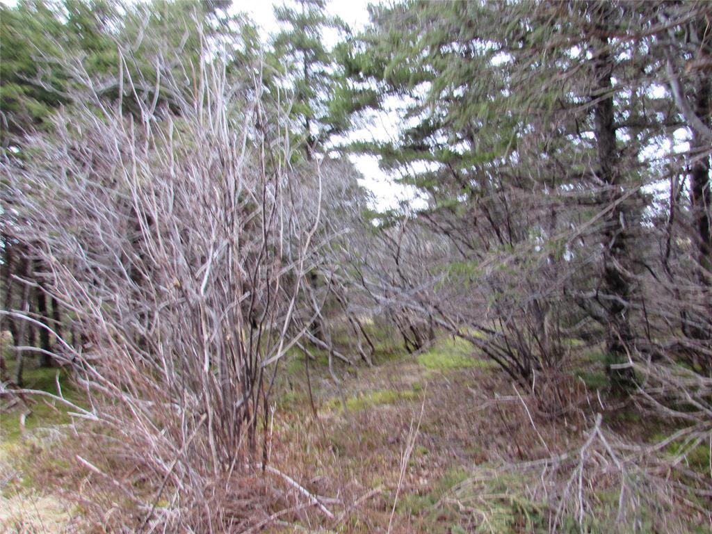 19-23 Bally Hack Road, Avondale, NL