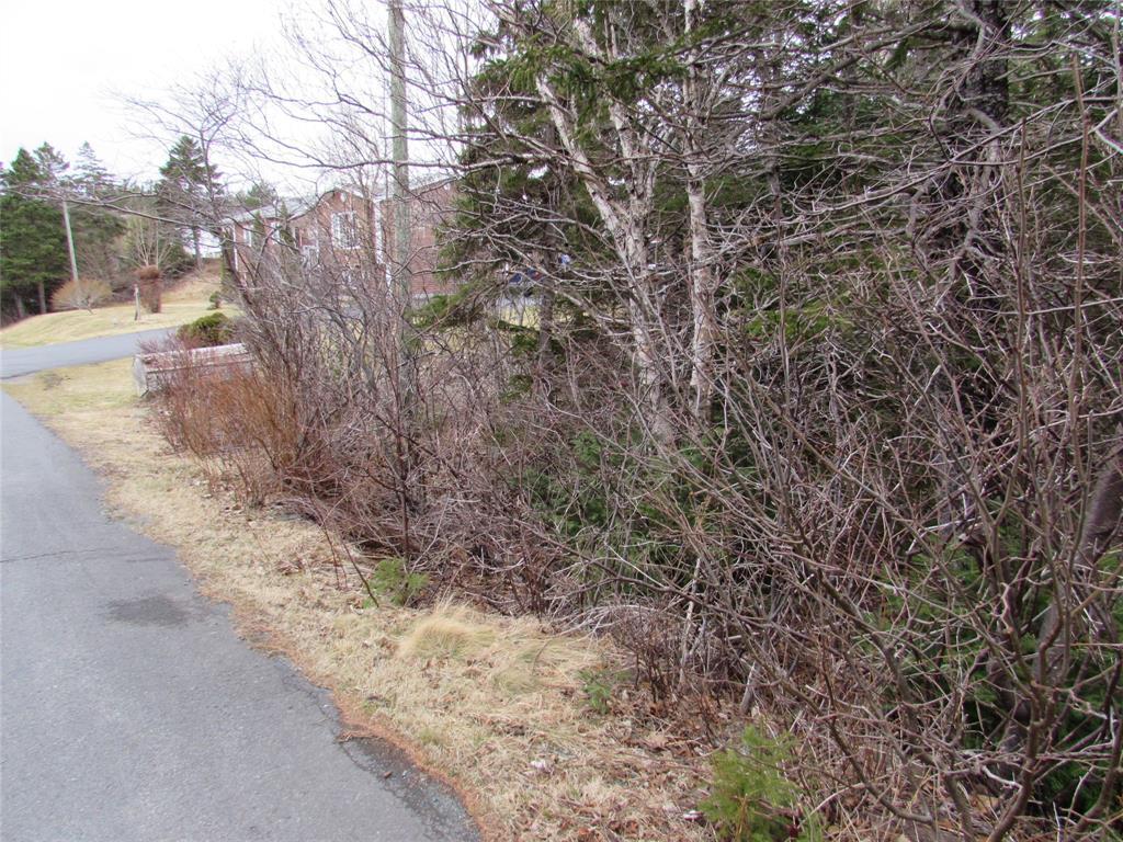 19-23 Bally Hack Road, Avondale, NL