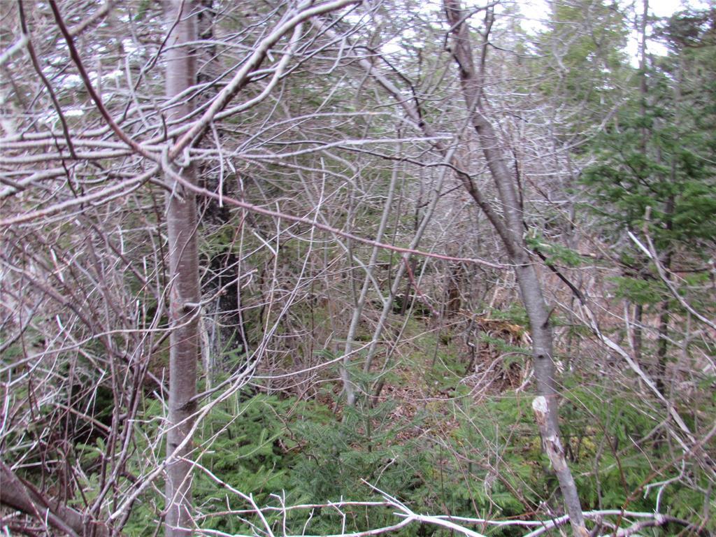 19-23 Bally Hack Road, Avondale, NL