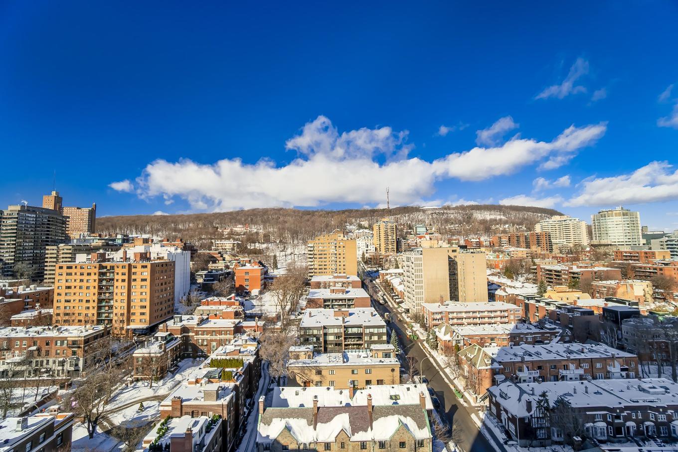 Vue - 2101-1455 Rue Sherbrooke O., Montréal (Ville-Marie), QC - Outdoor With View