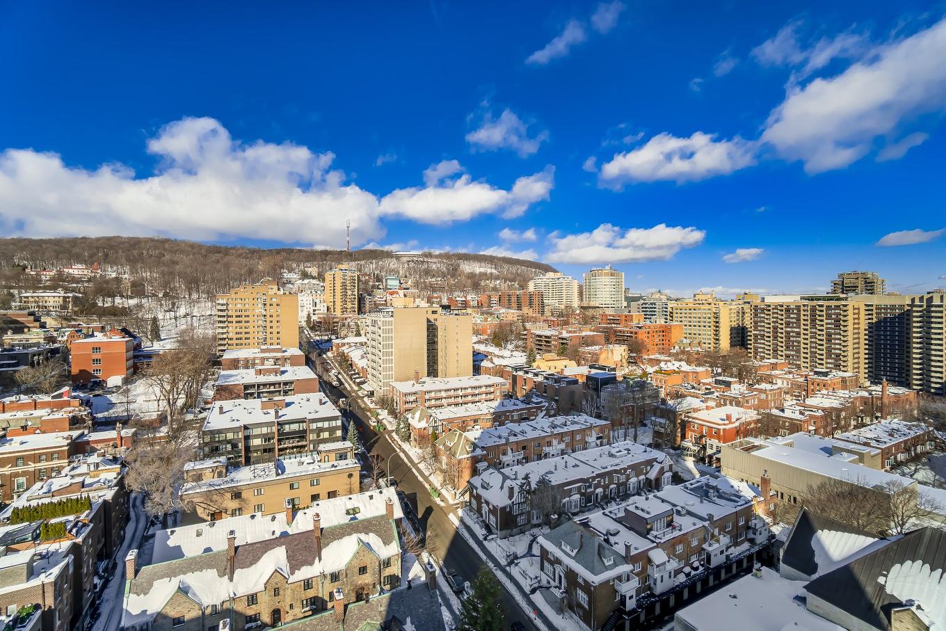 Vue - 2101-1455 Rue Sherbrooke O., Montréal (Ville-Marie), QC - Outdoor With View