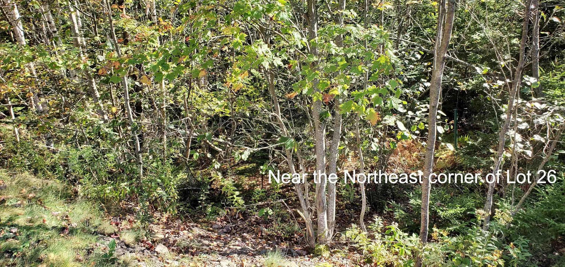 Lot 26 Spring Tide Lane, Two Islands, NS