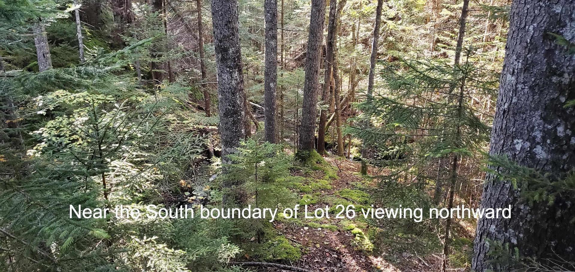 Lot 26 Spring Tide Lane, Two Islands, NS